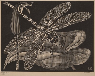 Dragonfly