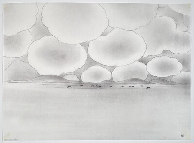 Taos Plains