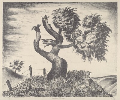 Riven Tree