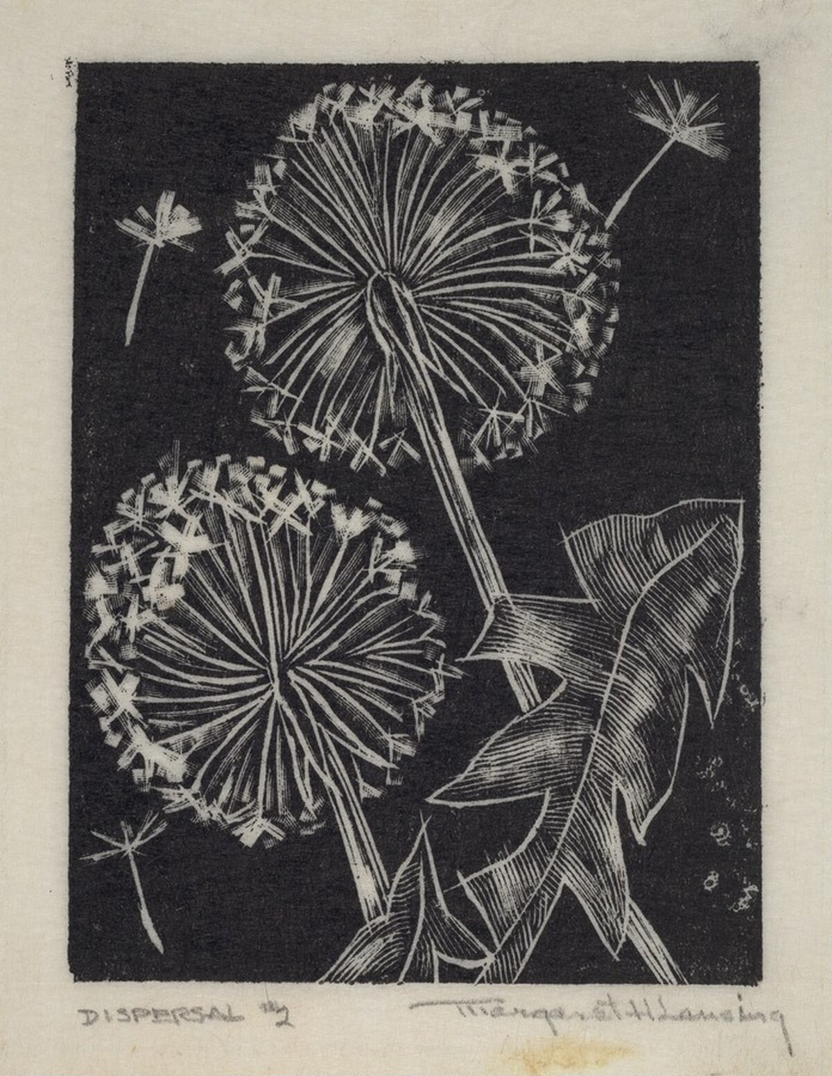 Dispersal #2 by Margaret Hunt Lansing
