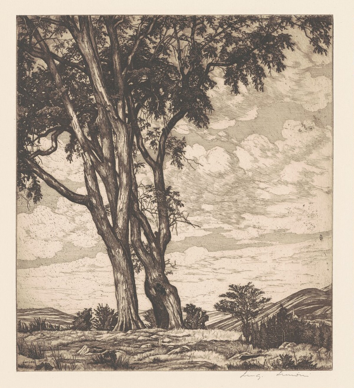 Hilltop Elms by Luigi Lucioni