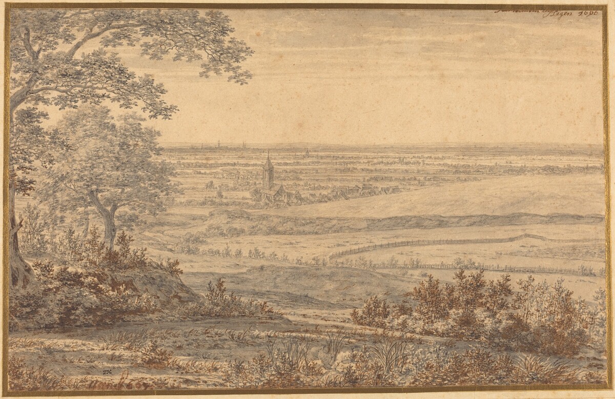 Extensive Landscape Seen from the Edge of a Forest by Joris van der Haagen