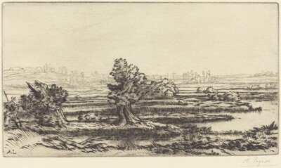 Peat-bogs (Les Tourbieres)