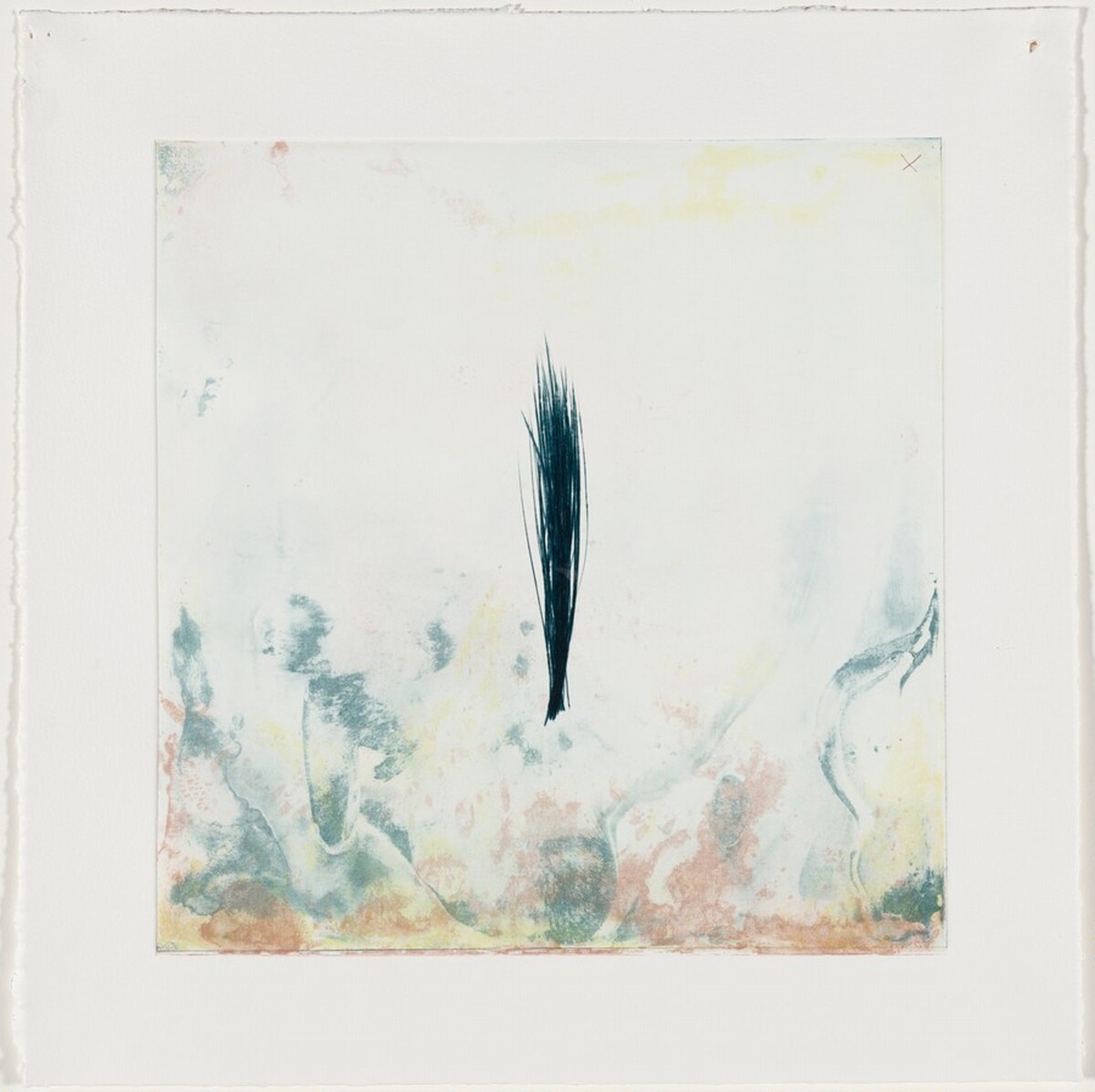 New Growth [working proof 2] by Tom Marioni