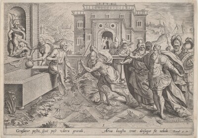 The Plague of Locusts