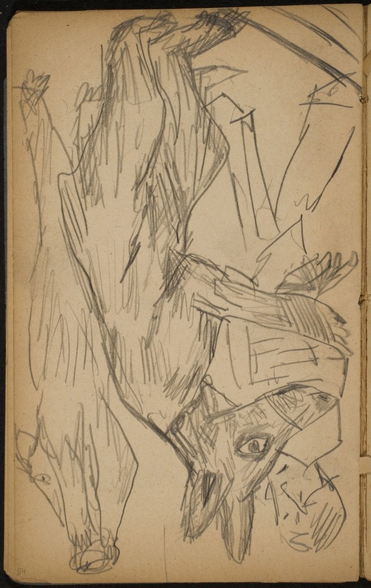 Zirkusnummer mit Bären (Performing Bears) [p. 54] by Max Beckmann