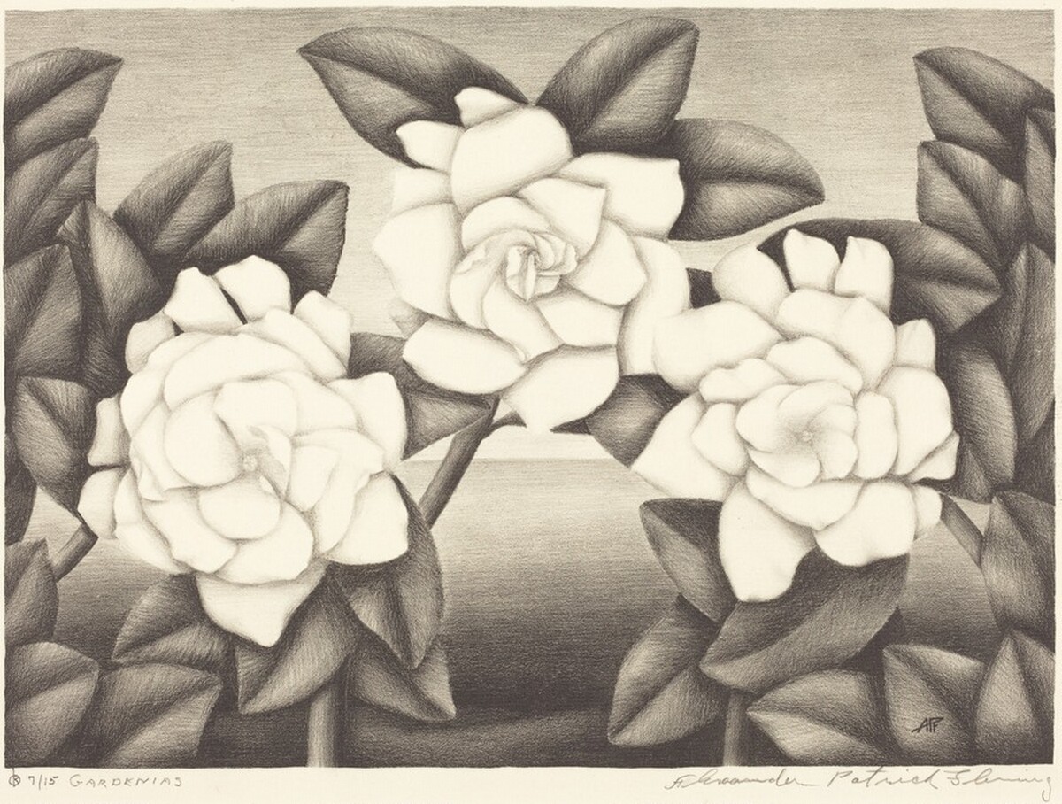 Gardenias by Alexander Patrick Fleming