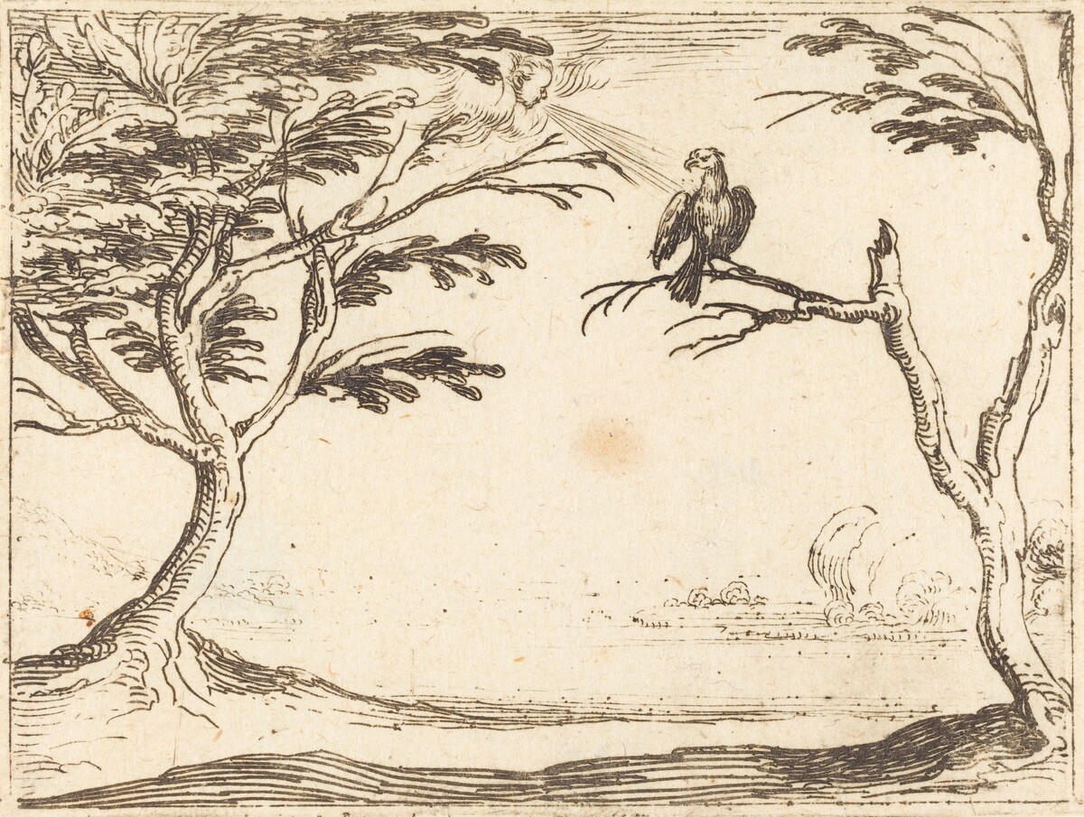 The Vulture by Jacques Callot