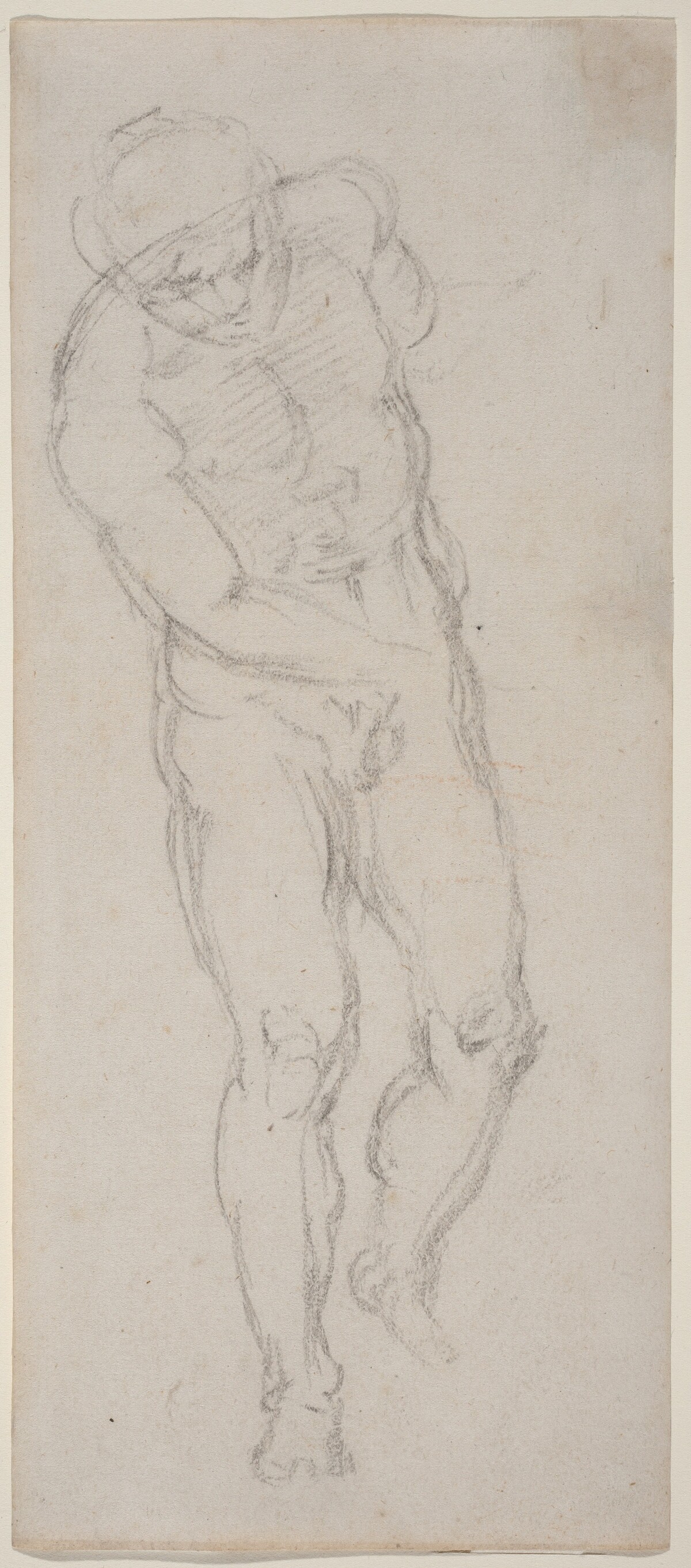 Male Nude [recto] by Michelangelo