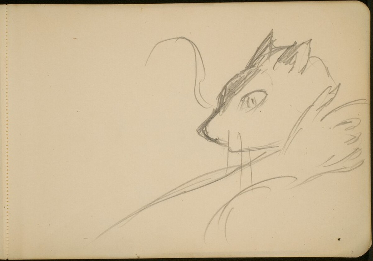 Studie einer Katze (Study of a Cat) [p. 3] by Max Beckmann