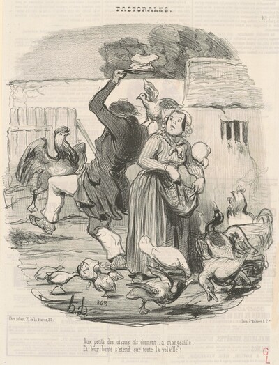 Aux petits des oisons, ils donnent la mangeaille ...