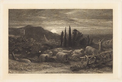 The Rising Moon