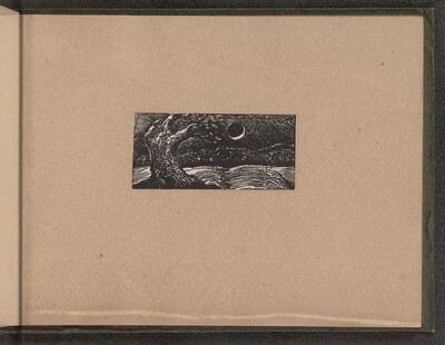 Blasted Tree and Flattened Crops