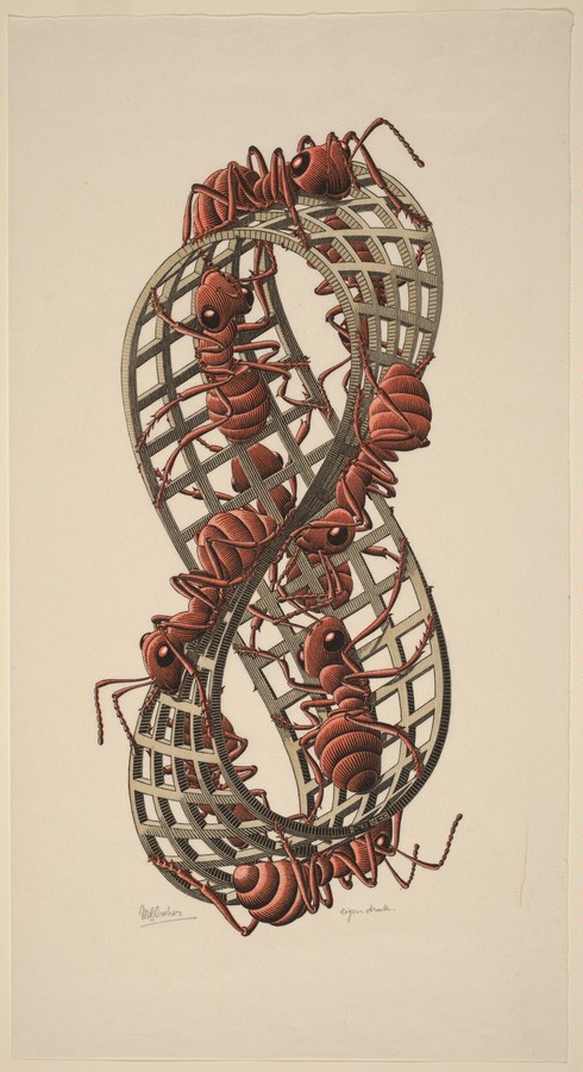 Mobius Strip II by M.C. Escher