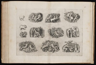 Fragments from Ancient Cameos in the Grimani Collection [Plate III]