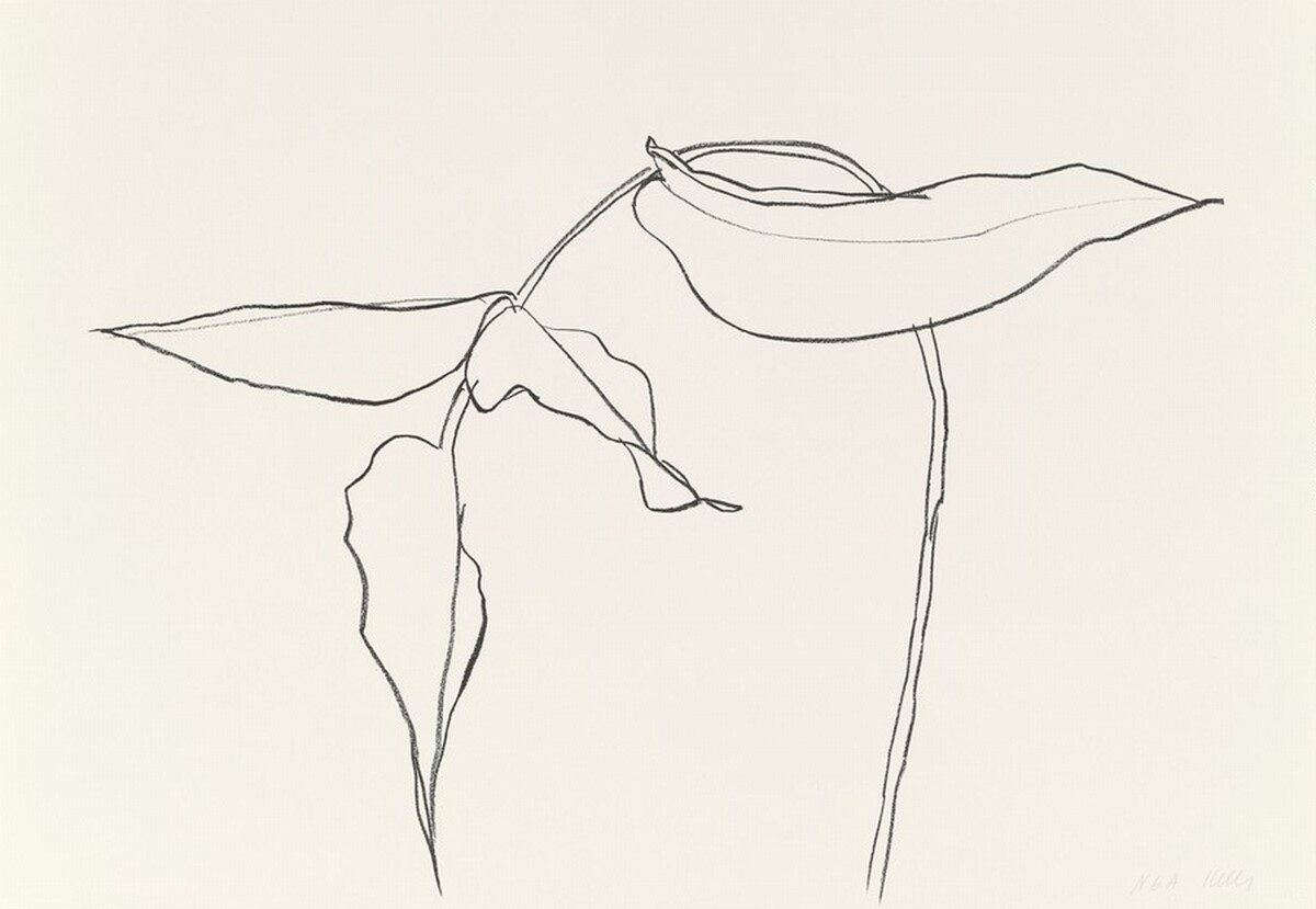 Philodendron II by Ellsworth Kelly