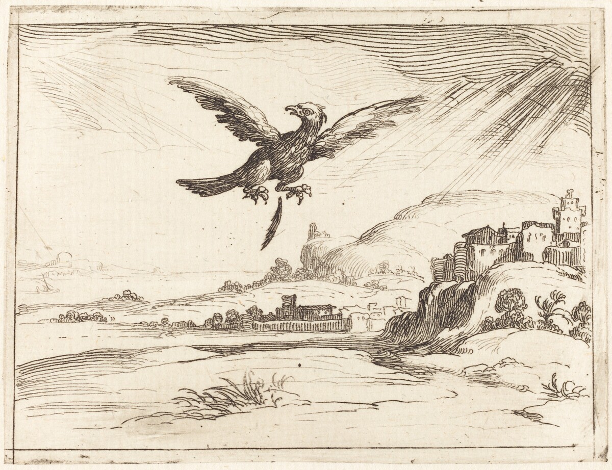 Eagle Losing an Old Feather by Jacques Callot