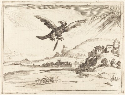 Eagle Losing an Old Feather