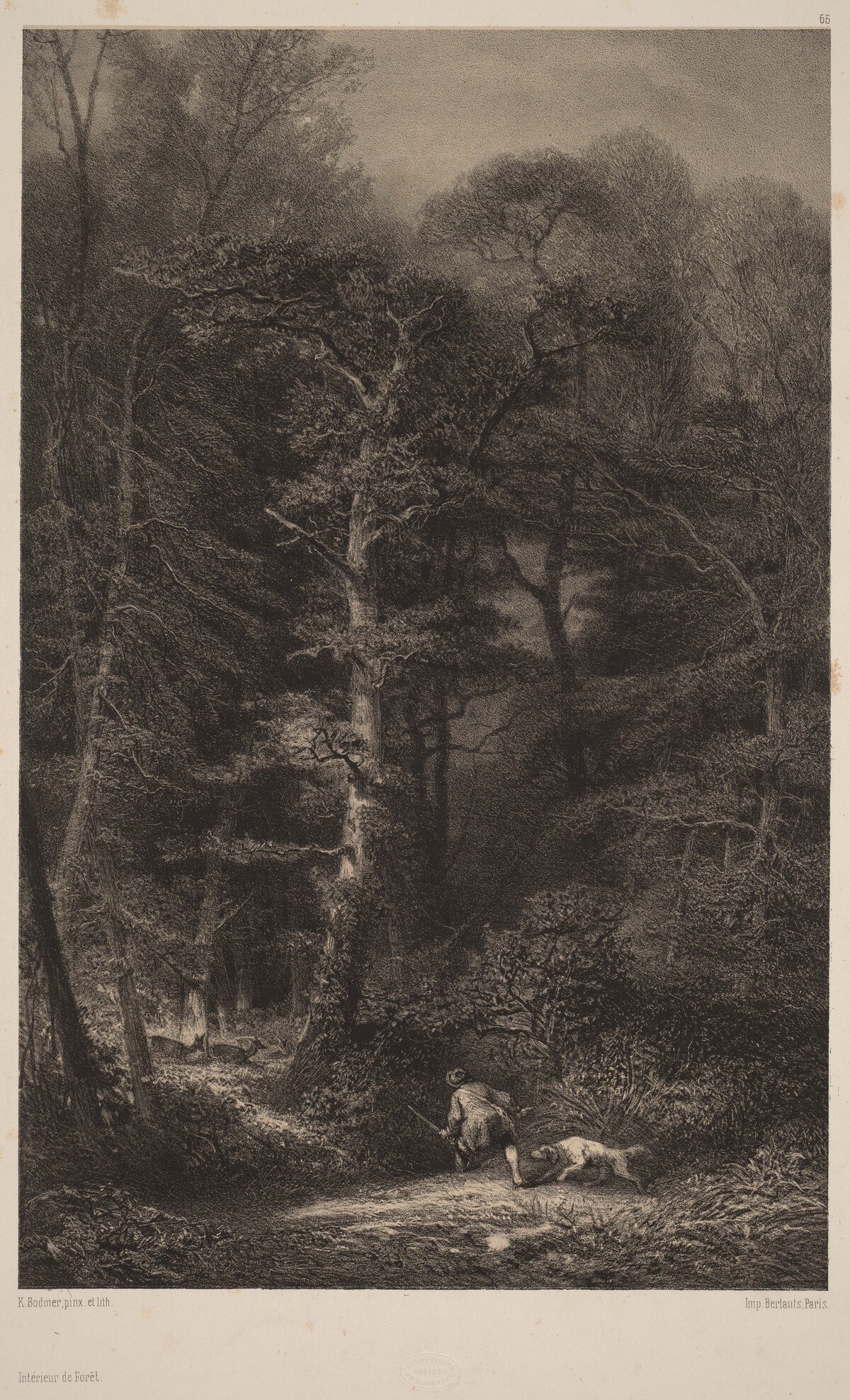 Intérieur de Forêt by Karl Bodmer