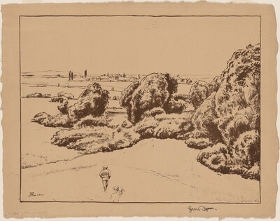 Landscape