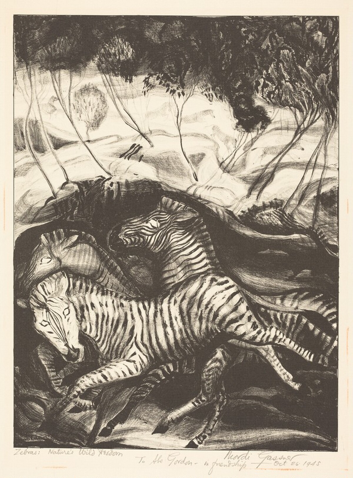Zebras: Nature's Wild Freedom by Mordi Gassner