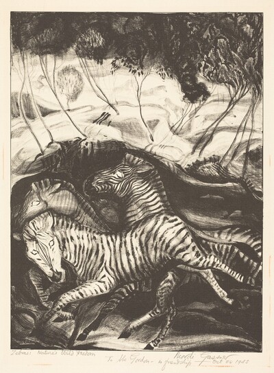 Zebras: Nature's Wild Freedom