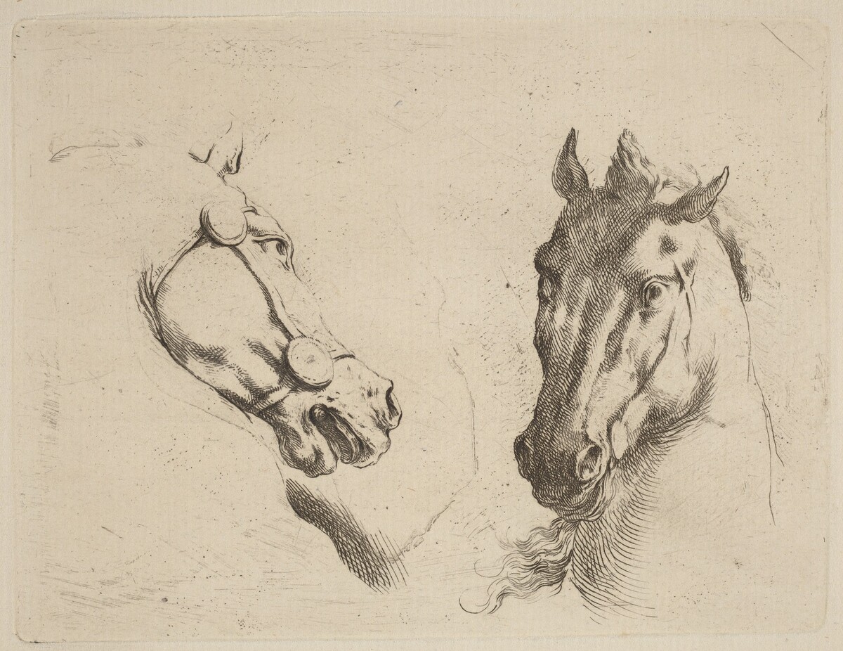 Head of a Horse Seen in Profile and in Three-Quarters by Stefano Della Bella