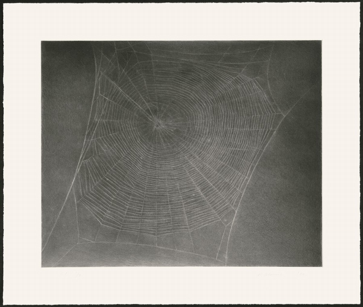 Untitled (Web 4) [special proof] by Vija Celmins