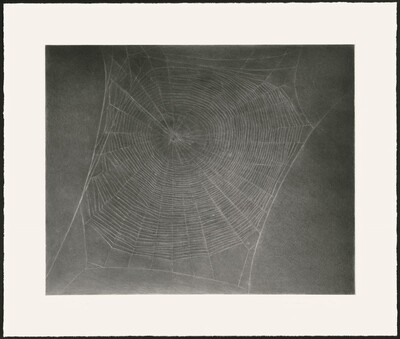 Untitled (Web 4) [special proof]