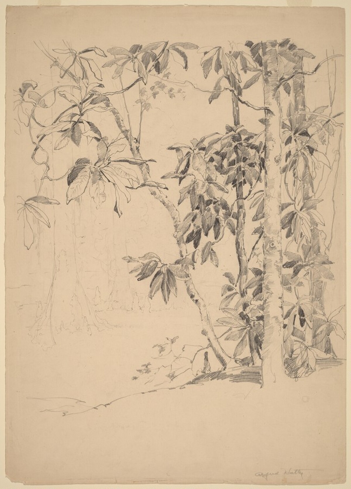 Magnolia Gardens, Charleston, South Carolina by Alfred Hutty