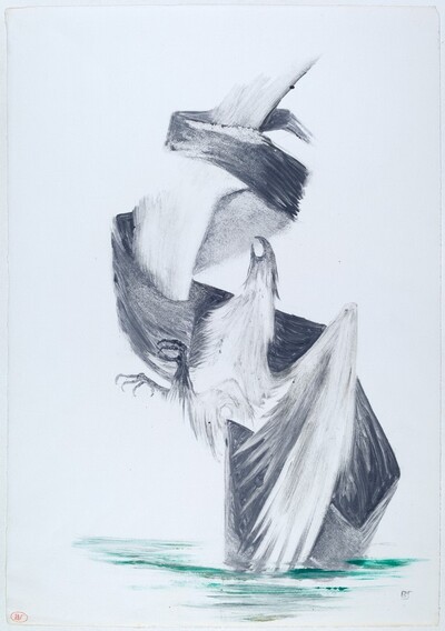 Skyhawk, No.II