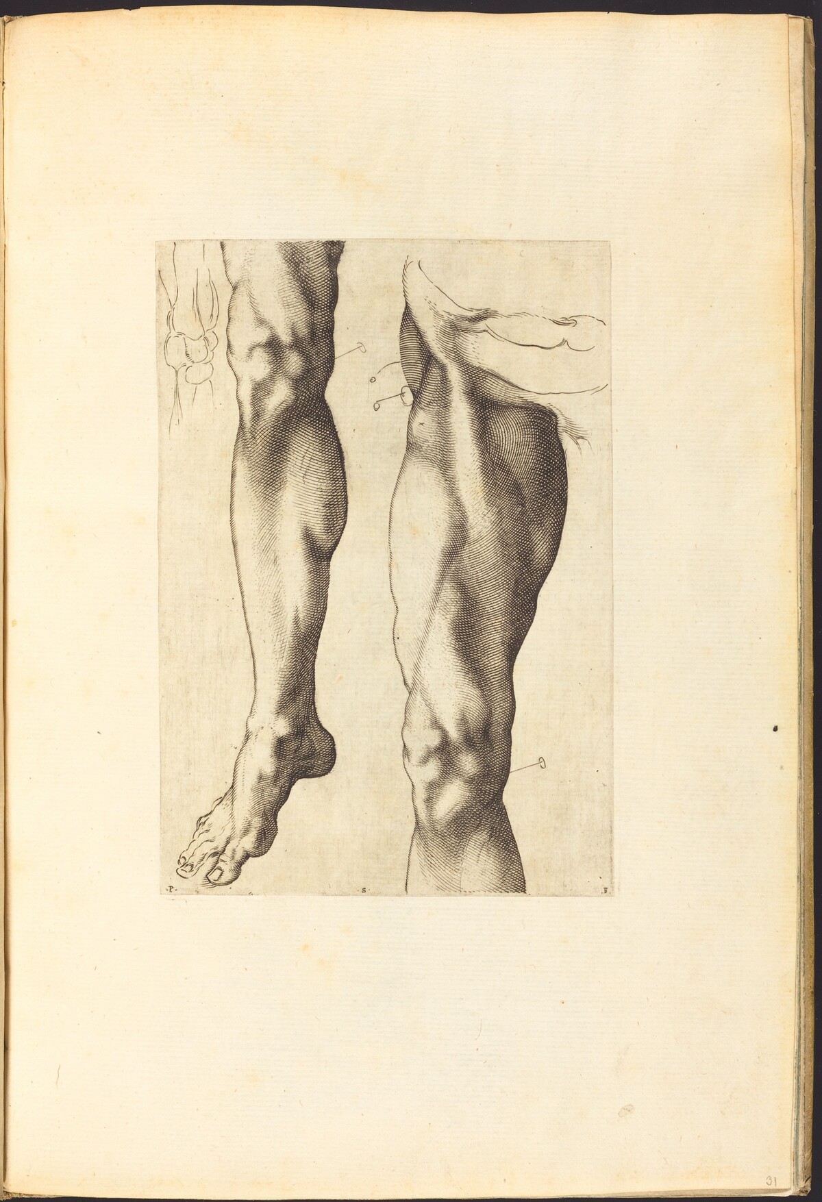 Print from Drawing Book by Luca Ciamberlano