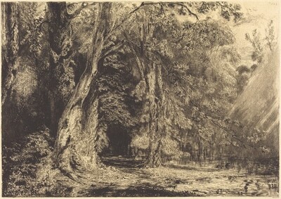 Flooding in the Forest of the Ile Séguin