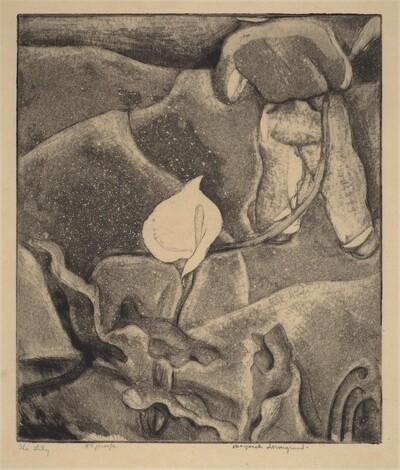 The Lily